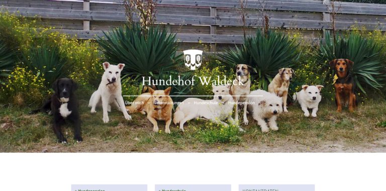 hundehof waldeck.de 768x381