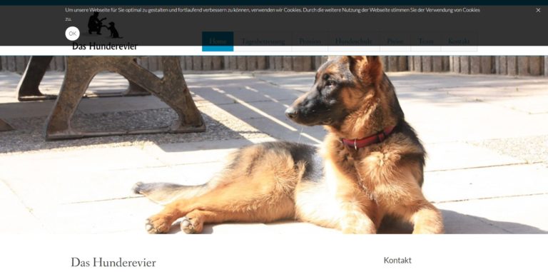 hundepensionkassel.de  768x381