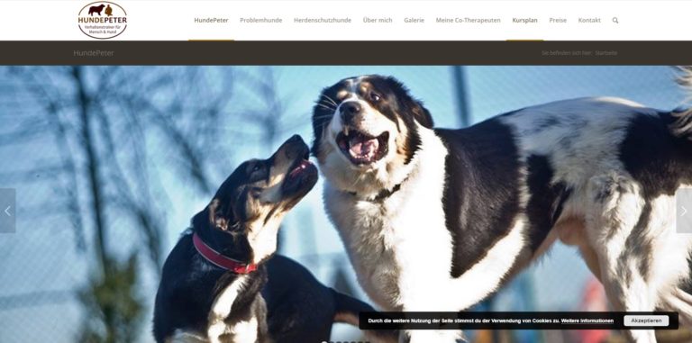 hundepeter.de  768x381
