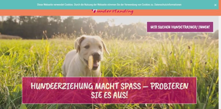 hunderstanding.de  768x381