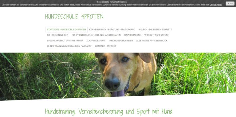 hundeschule 4pfoten.de 768x381
