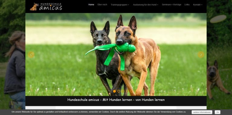 hundeschule amicus.de 768x381