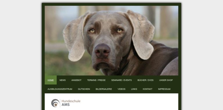 hundeschule ams.de  768x381