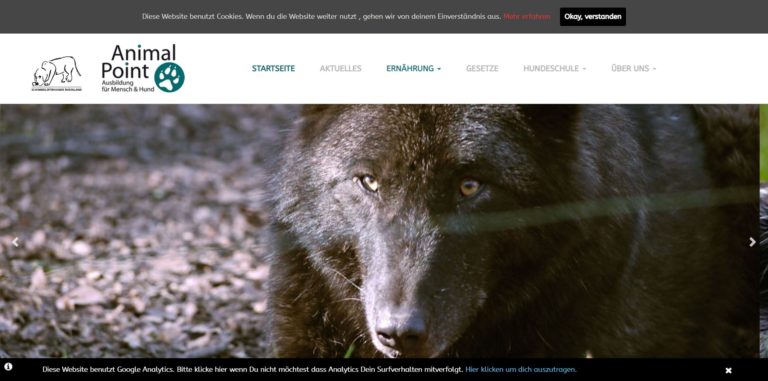 hundeschule animalpoint.de  768x381