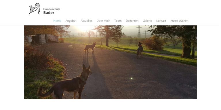 hundeschule bader.de  768x381