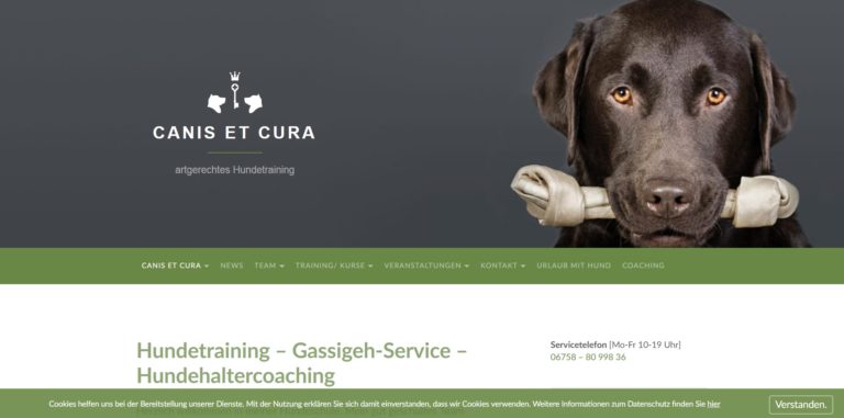 hundeschule badkreuznach.de 768x381