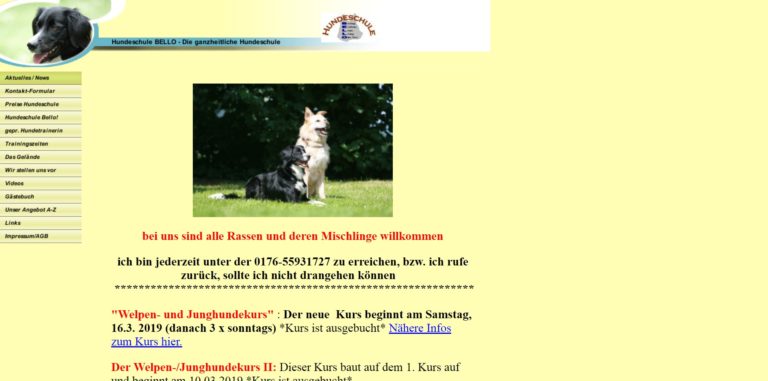 hundeschule bello.de 768x381