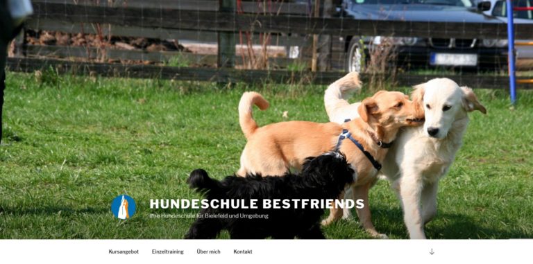hundeschule bestfriends.de  768x381