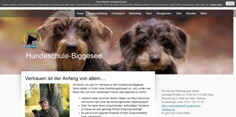 hundeschule biggesee.de  768x381