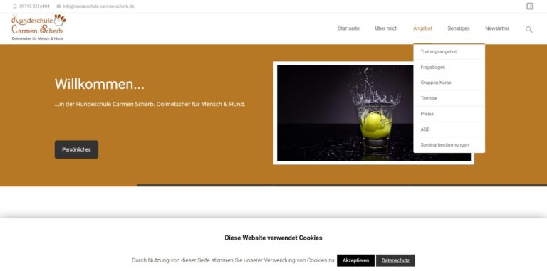 hundeschule carmen scherb.de 768x381