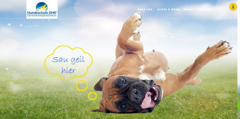 hundeschule dhk.de 768x381
