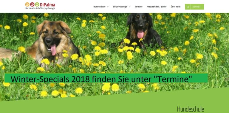 hundeschule dipalma.de  768x381