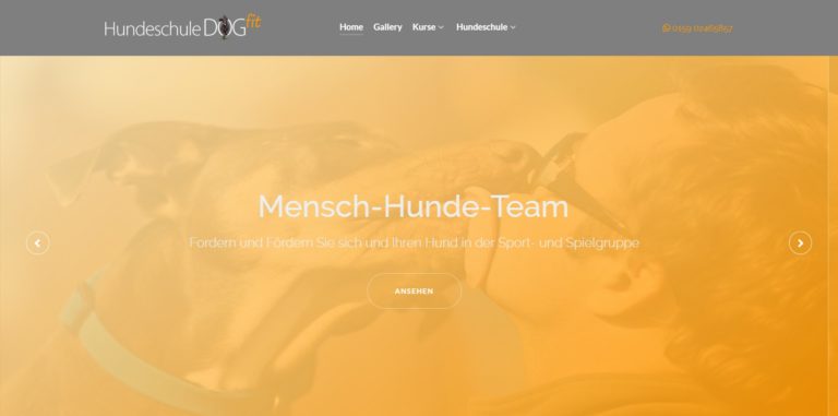 hundeschule dogfit.de 768x381