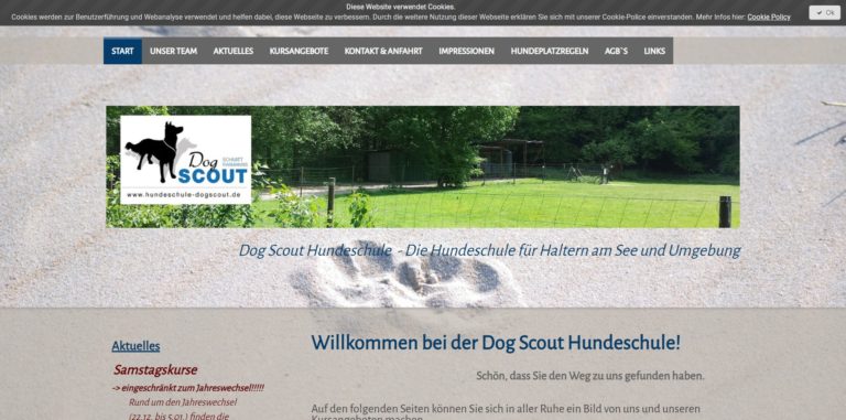 hundeschule dogscout.de  768x381