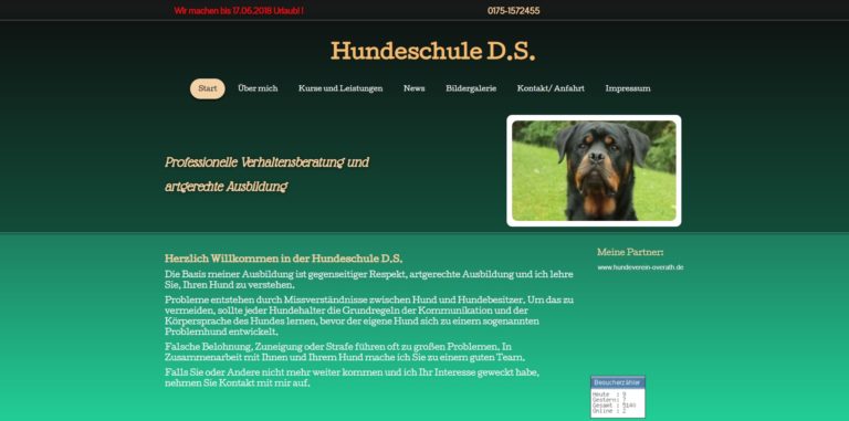 hundeschule ds.de  768x381