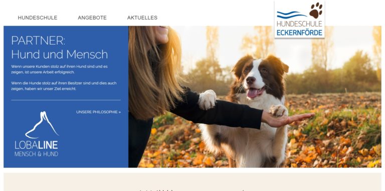 hundeschule eckernfoerde.de  768x381