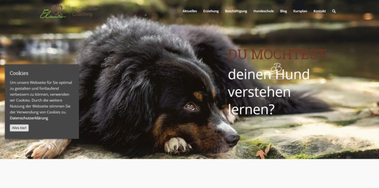 hundeschule elementar.com  768x381