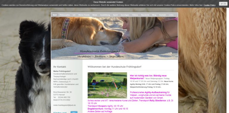 hundeschule froehlingsdorf.de  768x381