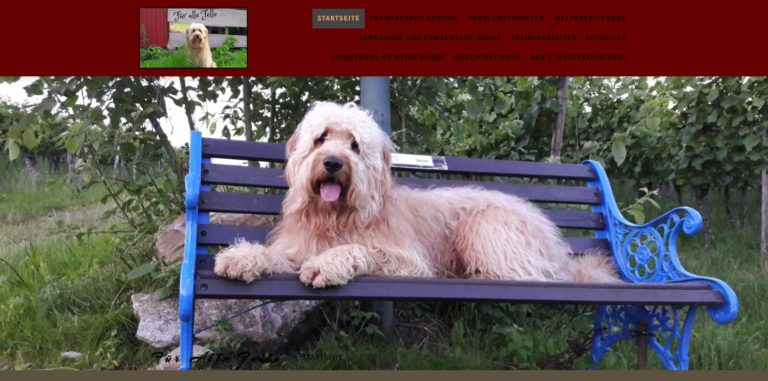 hundeschule fuer alle felle.de 768x381