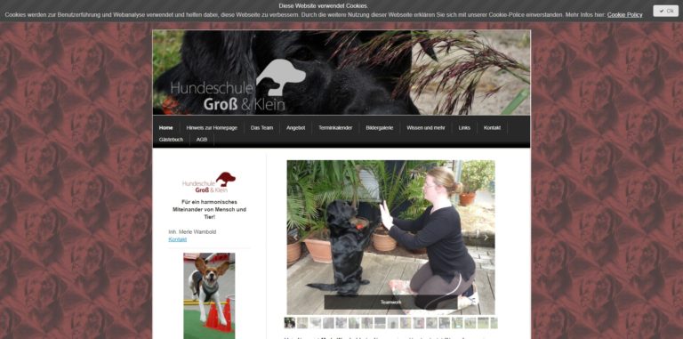 hundeschule gross und klein.de 768x381