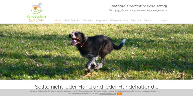 hundeschule grosse freiheit.de 768x381