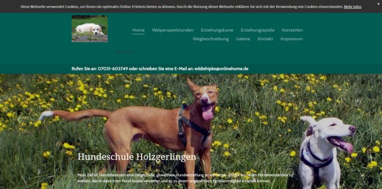 hundeschule holzgerlingen.de  768x381