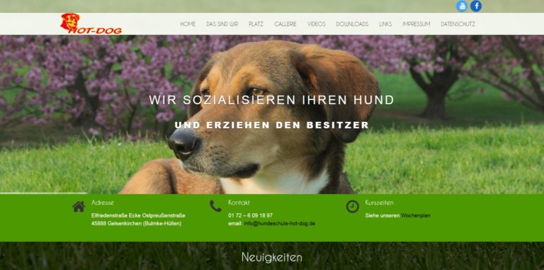 hundeschule hot dog.de  768x381