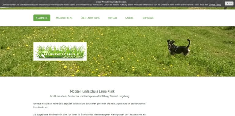 hundeschule klink.jimdo .com 768x381