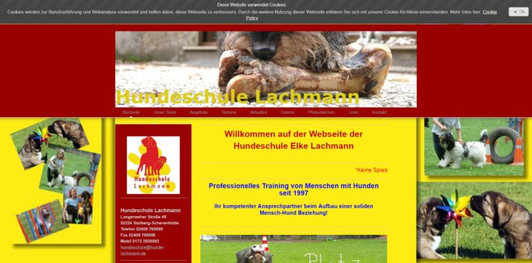 hundeschule lachmann.com 768x381