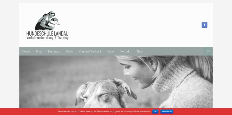 hundeschule landau.de  768x381