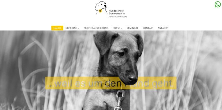 hundeschule loewenzahn.de  768x381