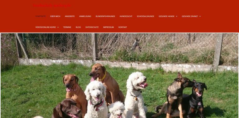 hundeschule marburg.de  768x381