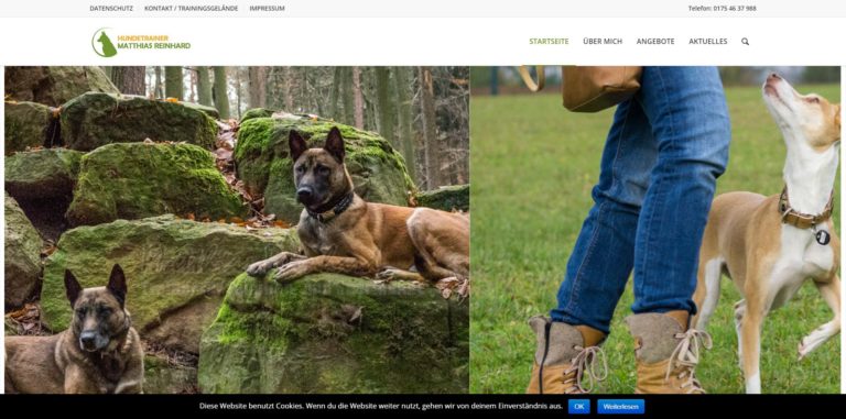 hundeschule niedernberg.de  768x381