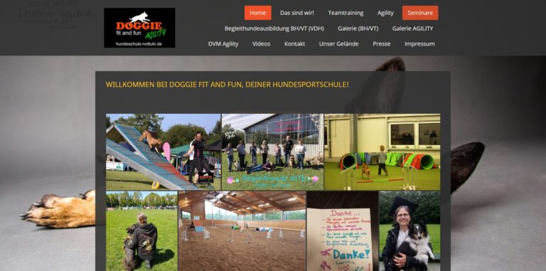 hundeschule nottuln.de  768x381