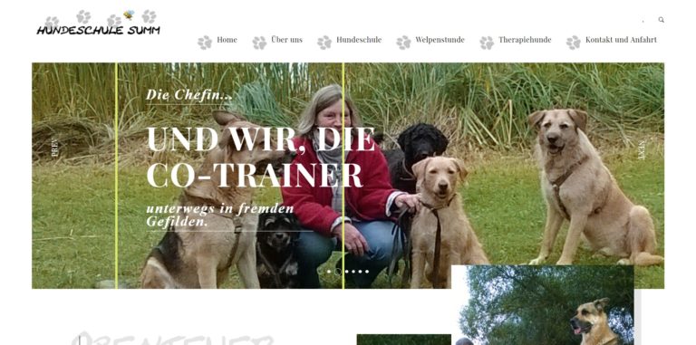 hundeschule perleberg.de 768x381