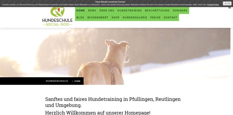 hundeschule pfullingen.de  768x381