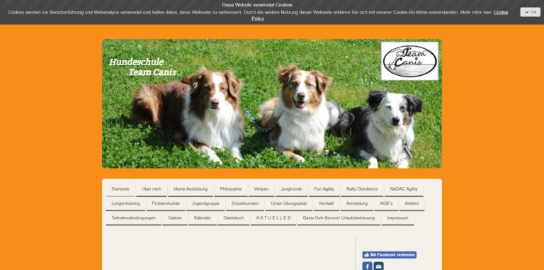 hundeschule schiller.de  768x381