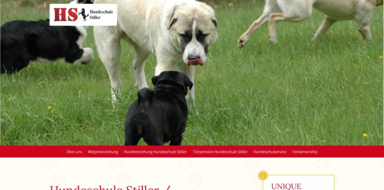 hundeschule stiller.de  768x381