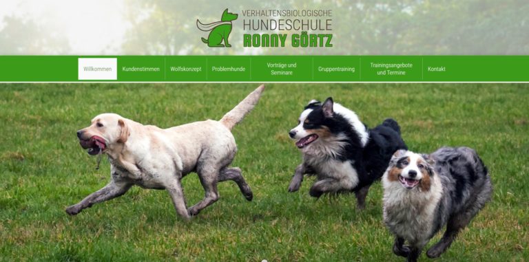 hundeschule stralsund.com  768x381