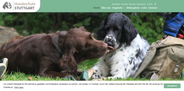 hundeschule stuttgart.de 768x381