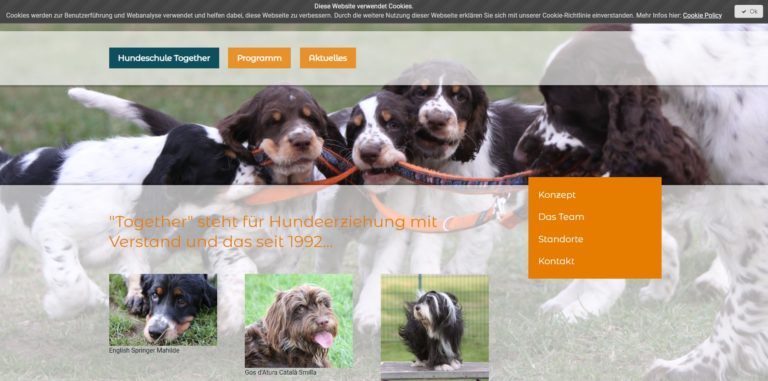 hundeschule together.de  768x381