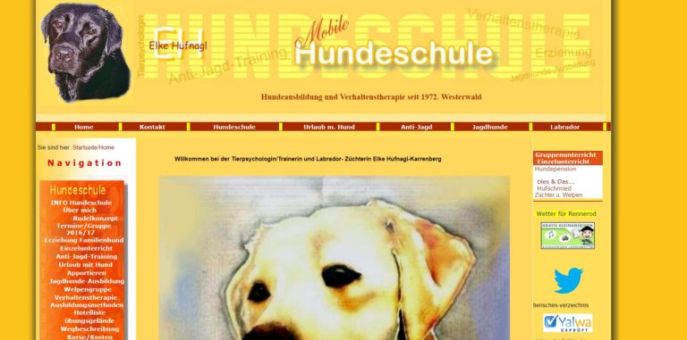 hundeschule und labrador.de  768x381