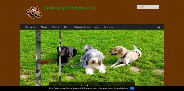 hundeschule welpen und co.de 768x381