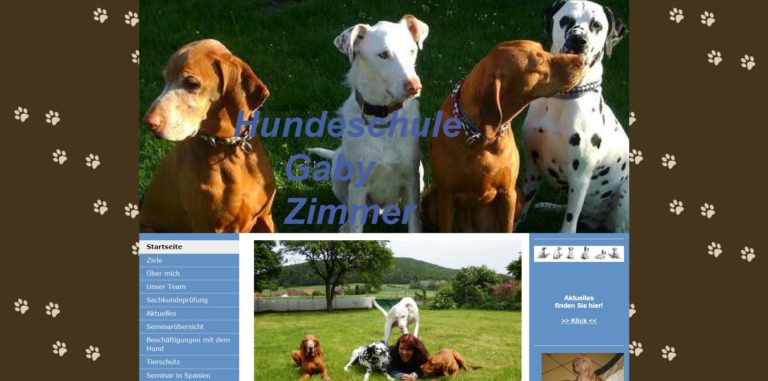 hundeschule zimmer.de 768x381