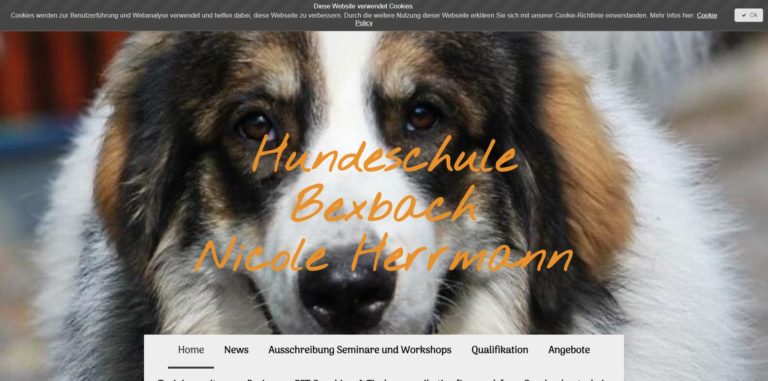 hundeschulebexbach.de 768x381