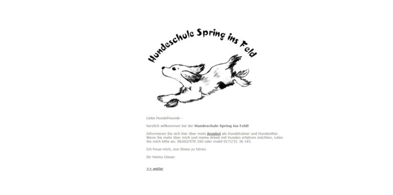 hundeschulespringinsfeld.de  768x381