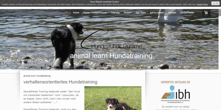 hundestunde rummel.de 768x381