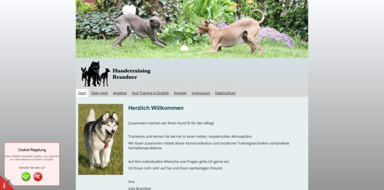 hundetraining brandner.de 768x381
