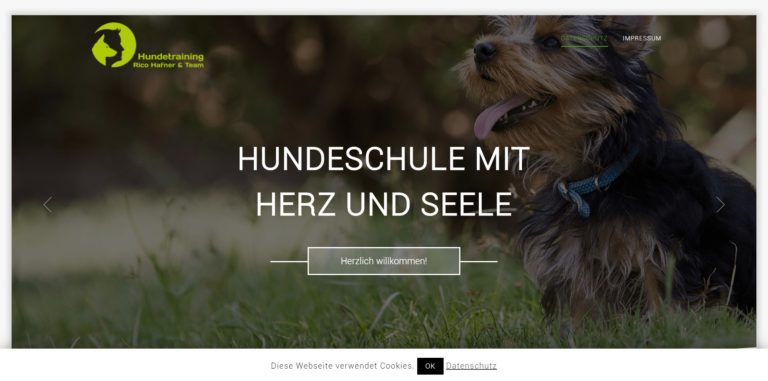 hundetraining hafner.de  768x381