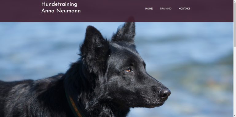 hundetraining neumann.de  768x381